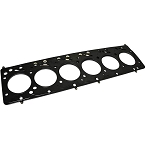 Gaskets & Seals